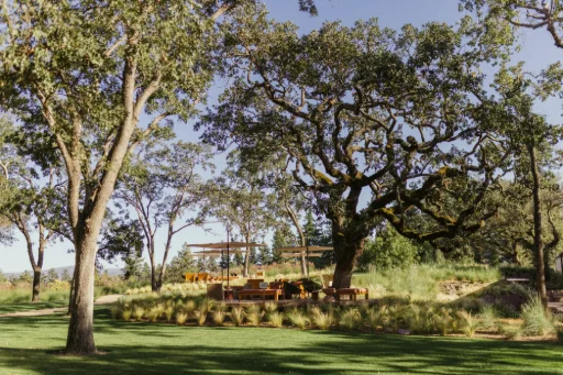 chandon The Estate